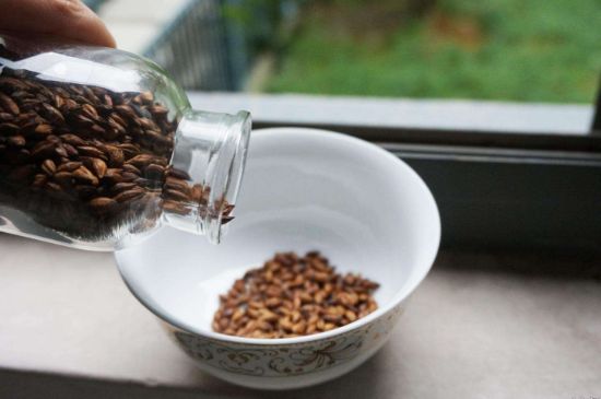 大麥茶上火嗎，喝大麥茶會不會上火？