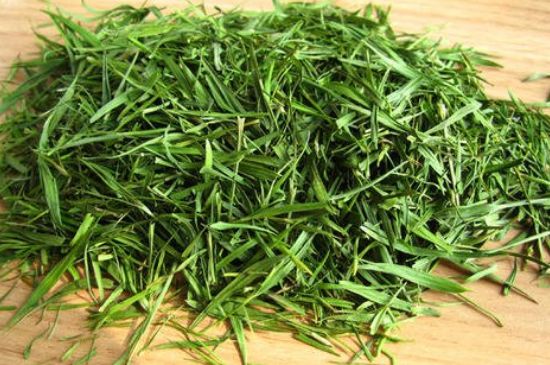 哪類人不適合喝石竹茶，石竹茶的功效與禁忌