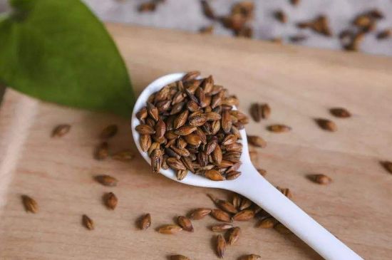 大麥茶上火嗎，喝大麥茶會不會上火？