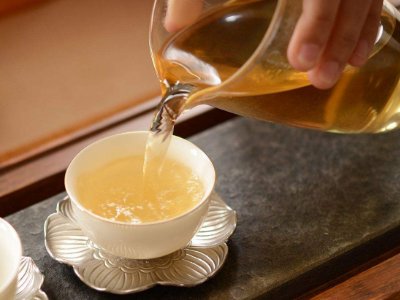 茶葉的專業(yè)知識，關(guān)于茶的基本知識大全