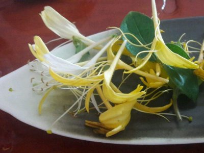 喝茶治口臭嗎，什么茶治口臭好？