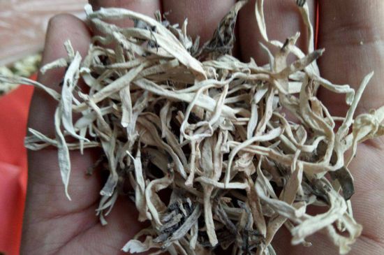 麗江雪茶的禁忌，白雪茶的副作用