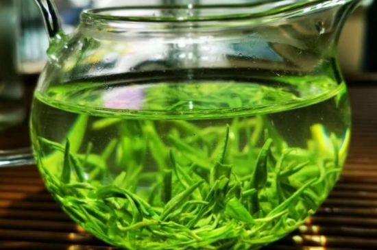 喝黃金茶禁忌，什么人不能喝黃金芽茶？