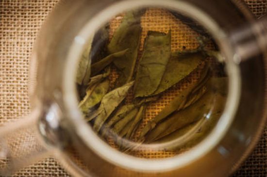 苦丁茶副作用，苦丁可以經(jīng)常喝嗎？