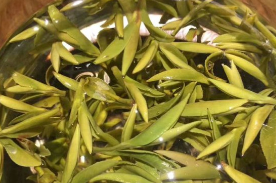 八大茶系都有哪幾種，八大茶系都是什么名字