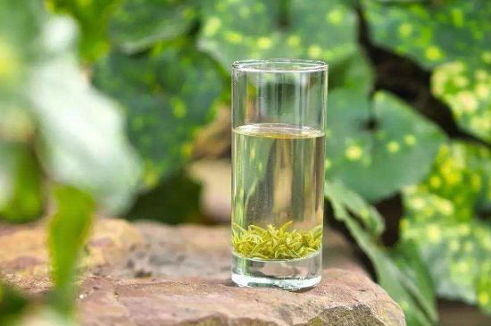 碧螺春沖泡三要素，碧螺春怎么泡才正確？