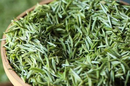 雀舌茶的沖泡方法，怎么沖泡雀舌茶？