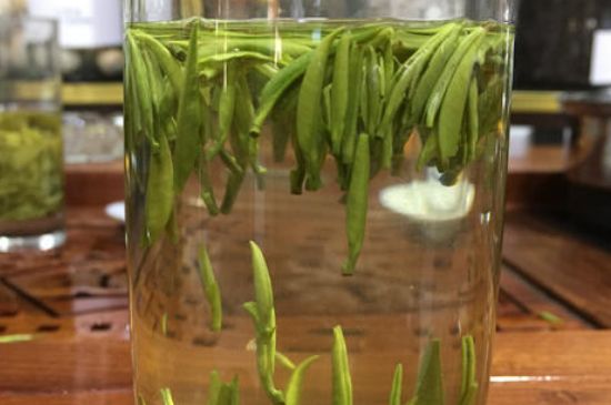 雀舌茶的副作用，雀舌茶什么人不能喝？