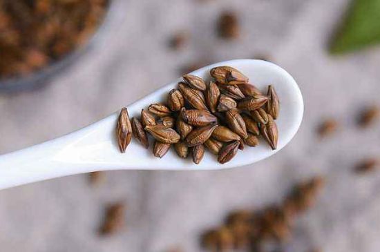 飯店的大麥茶為什么那么香，自己泡的蕎麥茶沒飯店香