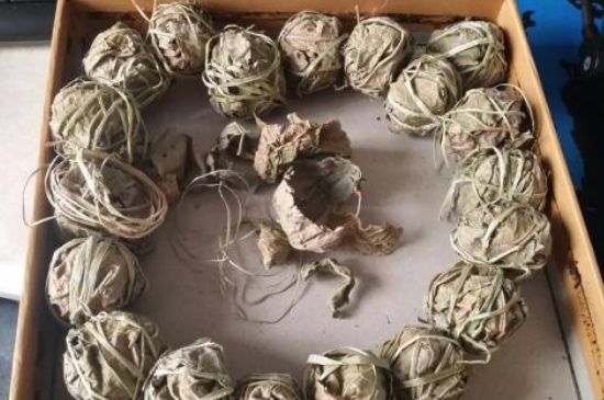 鷓鴣茶用拆開泡嗎，鷓鴣茶要解開繩子泡嗎