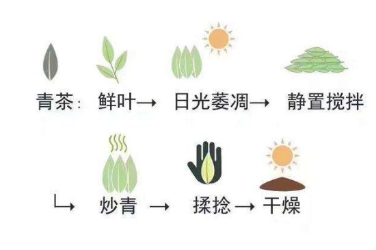 茶葉名稱大全和圖片，茶葉名字大全三四個字！