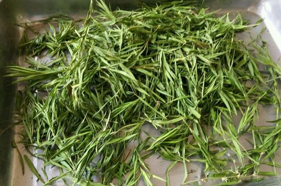 哪類人不適合喝石竹茶，石竹茶的功效與禁忌