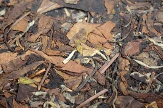 福鼎白茶能長時(shí)間悶泡嗎，老白茶可以悶著喝嗎？