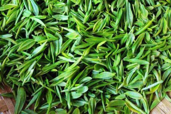 云霧綠茶的功效及禁忌，哪些人不適合喝云霧茶