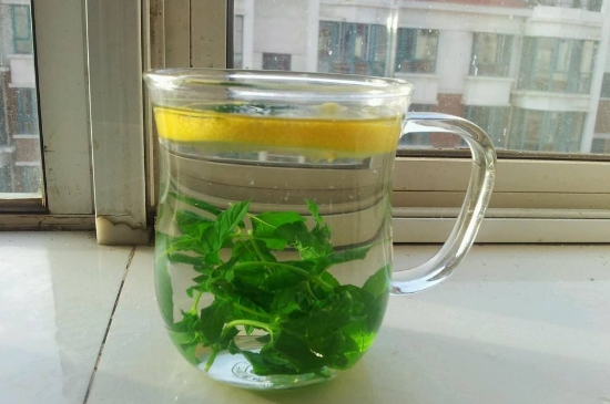 薄荷茶的功效與作用，喝薄荷茶有什么好處？