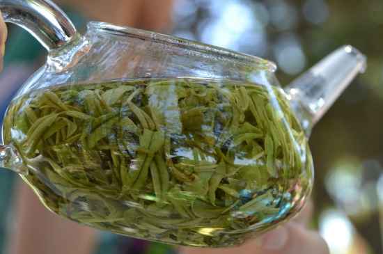 新手學(xué)泡茶的基本常識(shí)，從零開(kāi)始學(xué)泡茶