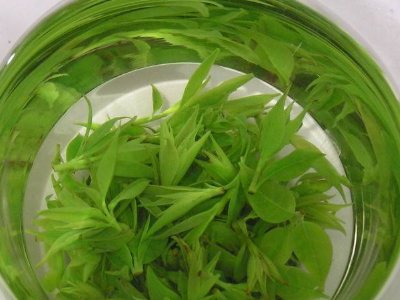 茶葉具有什么功效，茶葉的功效與作用大全