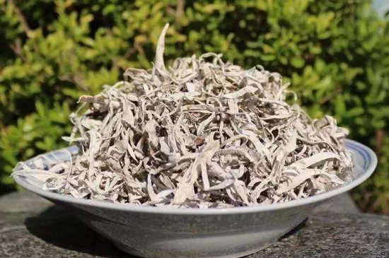 麗江雪茶的功效與作用，白雪茶有什么功效和作用