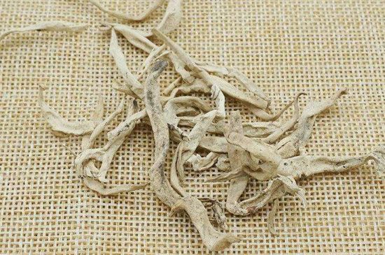 麗江雪茶的功效與作用，白雪茶有什么功效和作用