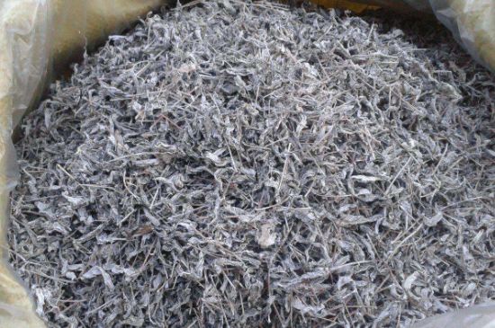 怎樣辨別莓茶發(fā)霉了，莓茶發(fā)霉和白霜的區(qū)別