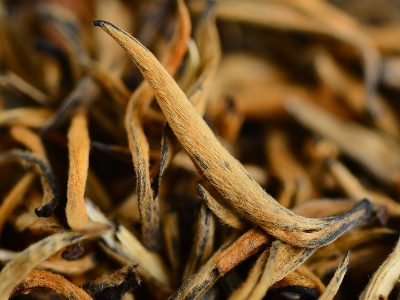 怎么知道什么茶葉適合自己，怎么判斷自己適合喝什么茶？