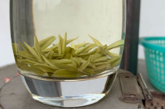 安吉白茶耐寒嗎，白茶適合放冰箱嗎