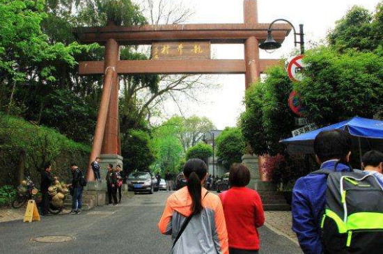 杭州買龍井茶攻略，怎么買到正宗的西湖龍井？