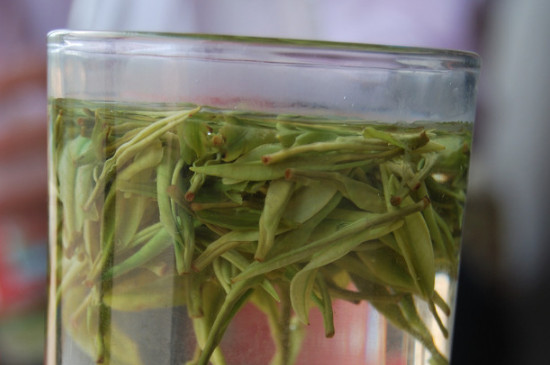 白茶的年份是怎么區(qū)分，如何辨別白茶年份