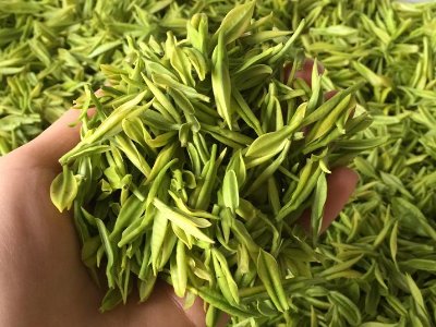 白茶品質(zhì)如何區(qū)分，白茶的優(yōu)劣質(zhì)量辨別方法