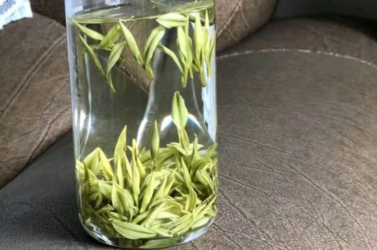 安吉白茶夏天怎么保存，安吉白茶能冷凍儲(chǔ)存嗎？