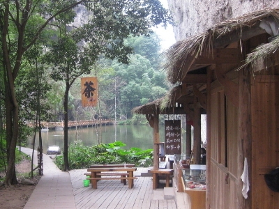 實體店買茶葉的技巧，新手買茶須知