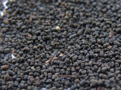 圓形顆粒狀茶是什么茶，像飼料一樣一粒粒的是什么茶？