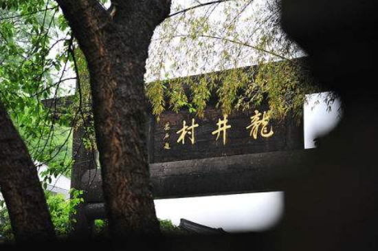 杭州買龍井茶攻略，怎么買到正宗的西湖龍井？