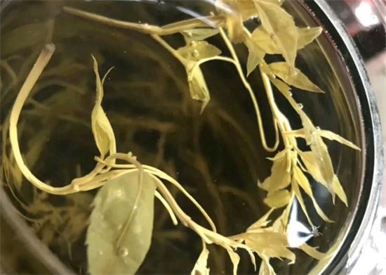 張家界茅巖莓茶與藤茶是同一種茶嗎，藤茶跟莓茶一不一樣？