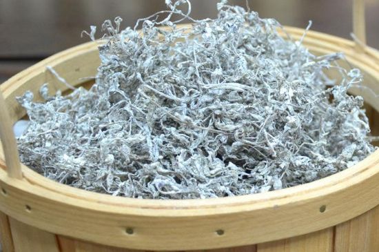 張家界莓茶真假對比，野生莓茶的鑒別方法