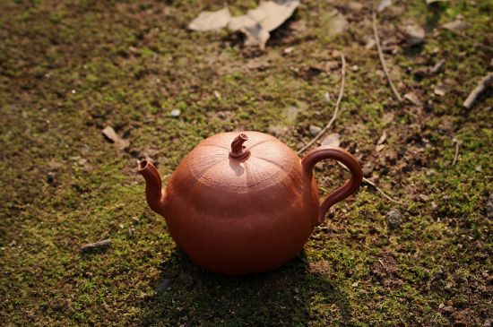 紫砂壺泡什么茶最佳，紫砂壺一般泡什么茶？