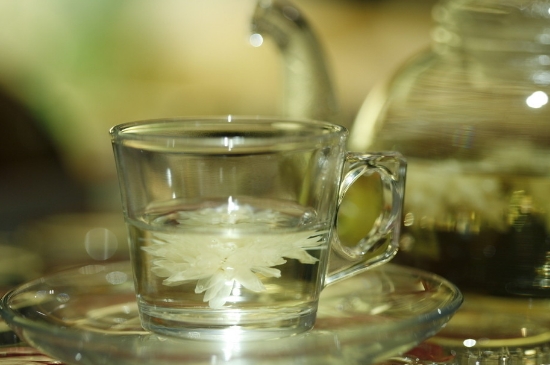 菊花茶天天喝行嗎，每天喝菊花泡茶喝好嗎？