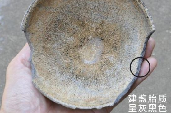 假建盞的特點，真假建盞區(qū)分帶圖