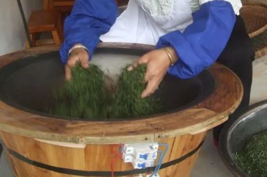 自家炒茶葉怎么炒，自己炒茶葉的步驟