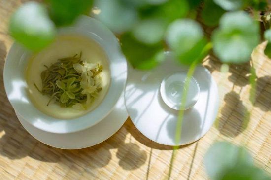 茉莉花茶6種人不要喝，什么體質(zhì)不適合喝茉莉花茶？