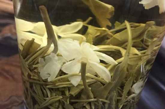 女孩喝茉莉茶的好處，茉莉茶葉的功效與禁忌