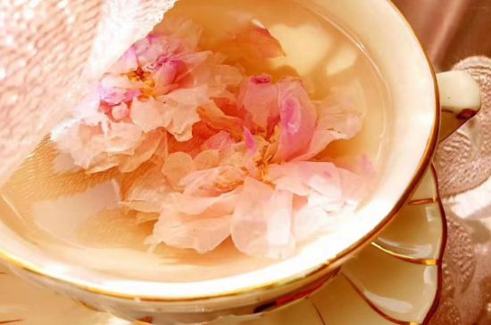 玫瑰花茶一周喝幾次，玫瑰花茶可以天天喝嗎？