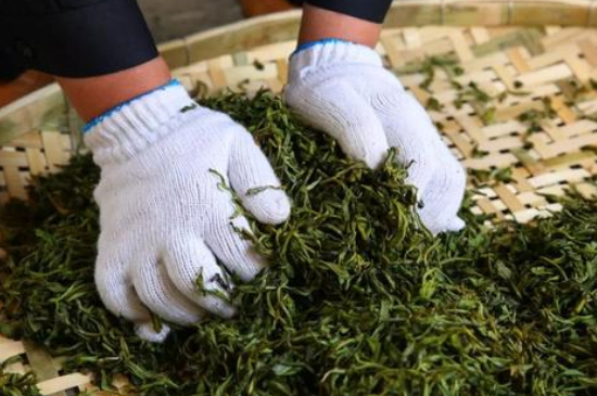 綠茶加工工藝流程圖，綠茶的加工制作包含哪幾個步驟？