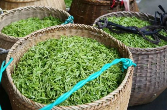 茶葉怎么炒制才香，怎樣炒茶葉更香？