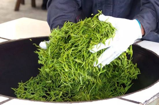 自家炒茶葉怎么炒，自己炒茶葉的步驟