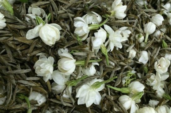 茉莉銀針口感，茉莉銀針是什么味道？