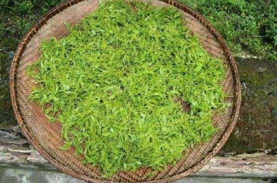 茅巖莓茶加工工藝，莓茶的工藝制作過(guò)程