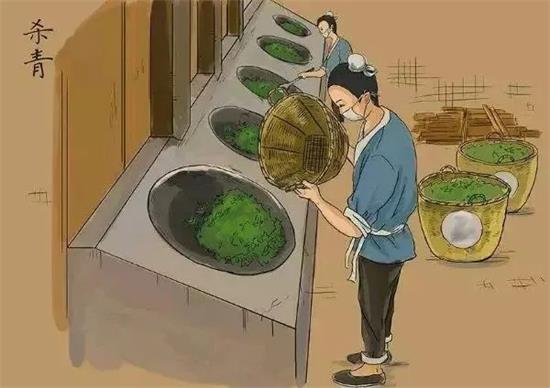 制茶八步驟，制茶工藝流程圖