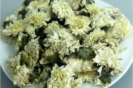 菊花茶買小朵還是大朵，泡茶用的小菊花和大菊花哪個好