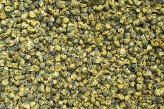 菊花茶大朵小朵有什么區(qū)別，菊花喝大朵還是小朵？